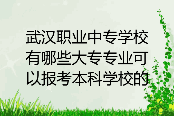 武汉职业中专学校有哪些大专专业可以报考本科学校的