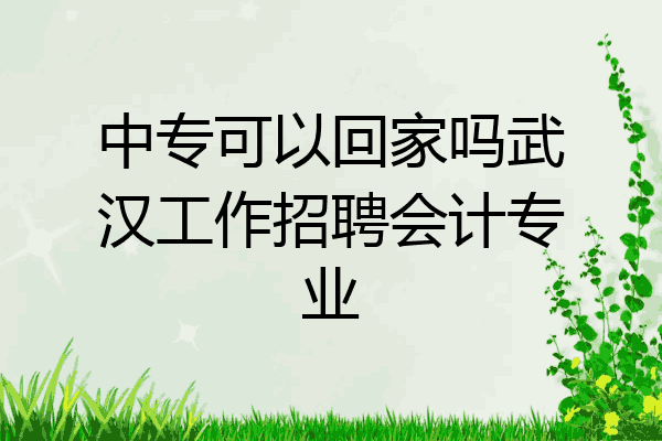 中专可以回家吗武汉工作招聘会计专业