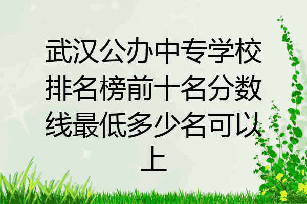 武汉公办中专学校排名榜前十名分数线最低多少名可以上