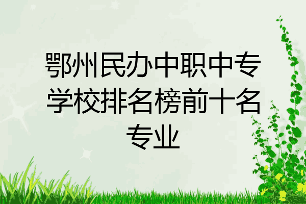 鄂州民办中职中专学校排名榜前十名专业