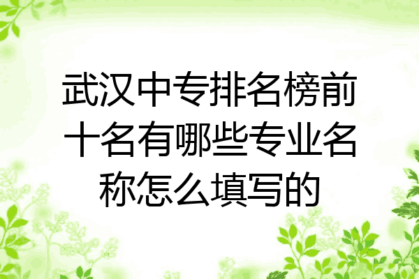 武汉中专排名榜前十名有哪些专业名称怎么填写的