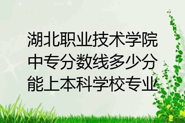 湖北职业技术学院中专分数线多少分能上本科学校专业