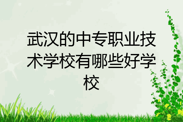 武汉的中专职业技术学校有哪些好学校