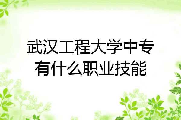 武汉工程大学中专有什么职业技能