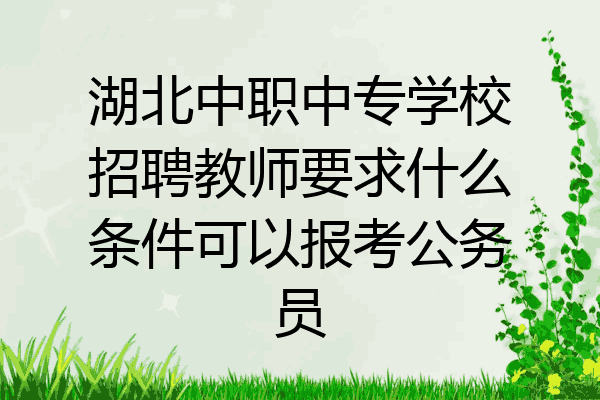 湖北中职中专学校招聘教师要求什么条件可以报考公务员