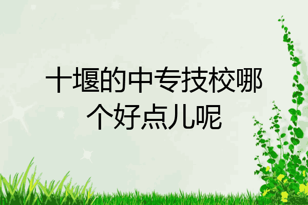 十堰的中专技校哪个好点儿呢