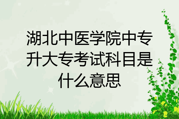 湖北中医学院中专升大专考试科目是什么意思
