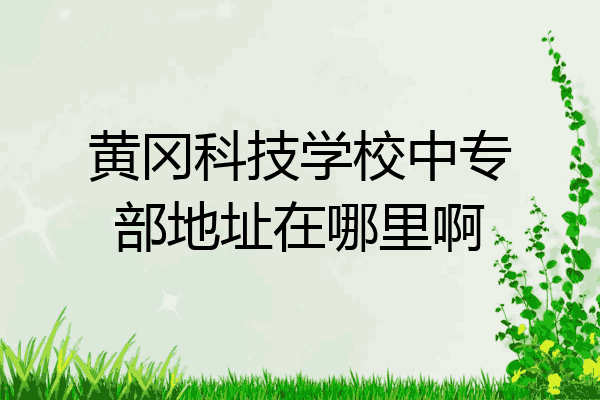 黄冈科技学校中专部地址在哪里啊