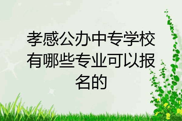 孝感公办中专学校有哪些专业可以报名的