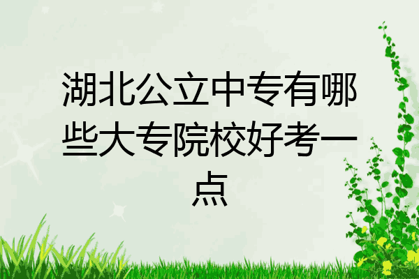 湖北公立中专有哪些大专院校好考一点