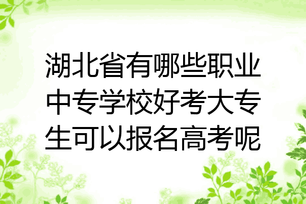 湖北省有哪些职业中专学校好考大专生可以报名高考呢