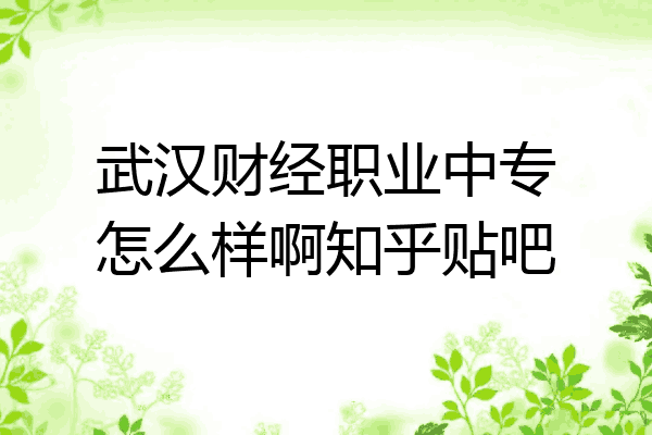 武汉财经职业中专怎么样啊知乎贴吧