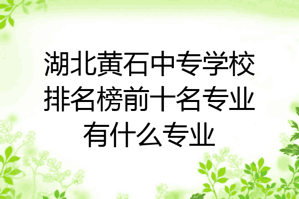 湖北黄石中专学校排名榜前十名专业有什么专业