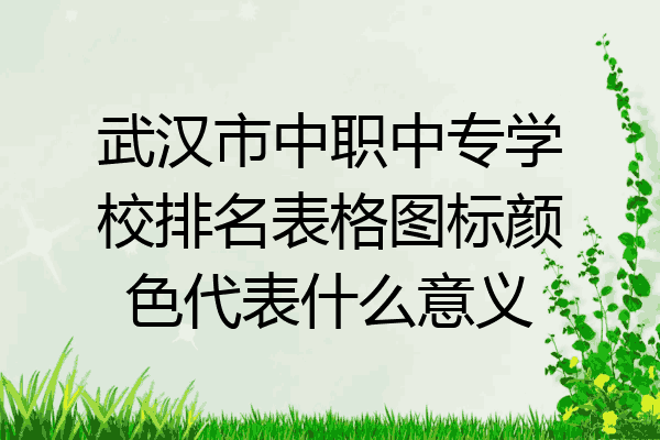 武汉市中职中专学校排名表格图标颜色代表什么意义