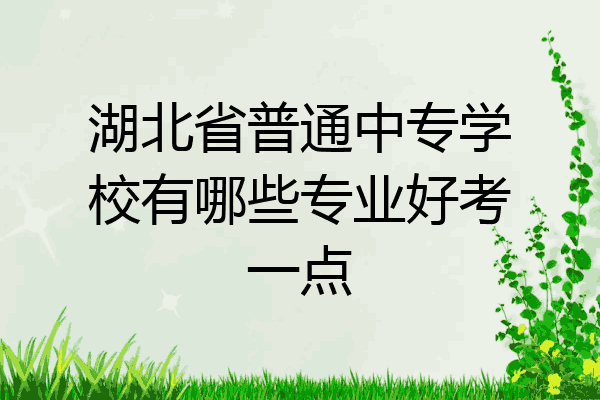 湖北省普通中专学校有哪些专业好考一点