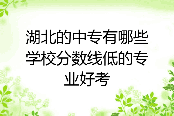 湖北的中专有哪些学校分数线低的专业好考
