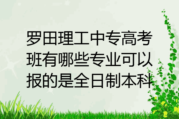 罗田理工中专高考班有哪些专业可以报的是全日制本科