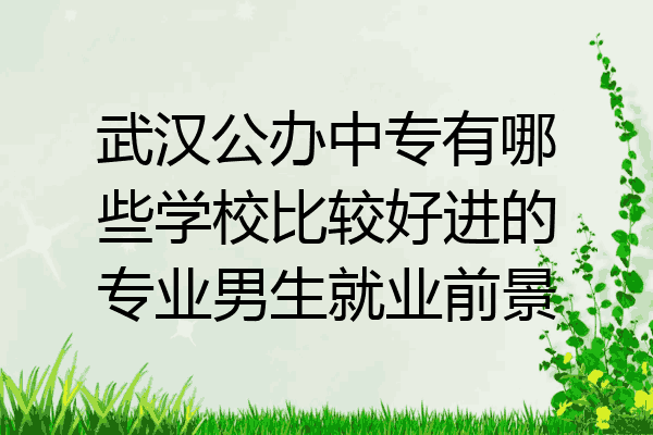 武汉公办中专有哪些学校比较好进的专业男生就业前景