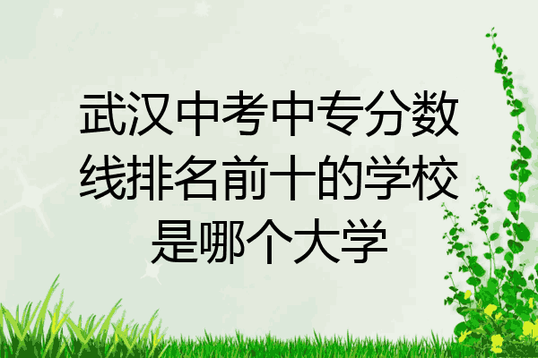 武汉中考中专分数线排名前十的学校是哪个大学