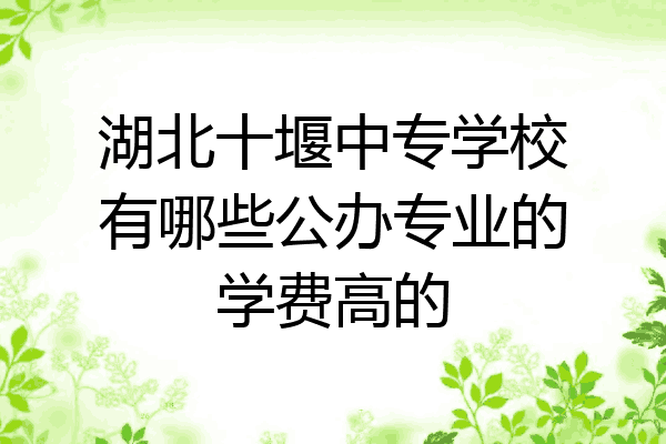 湖北十堰中专学校有哪些公办专业的学费高的