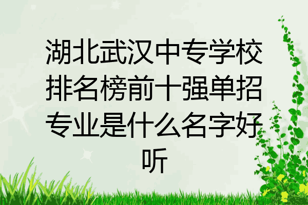 湖北武汉中专学校排名榜前十强单招专业是什么名字好听