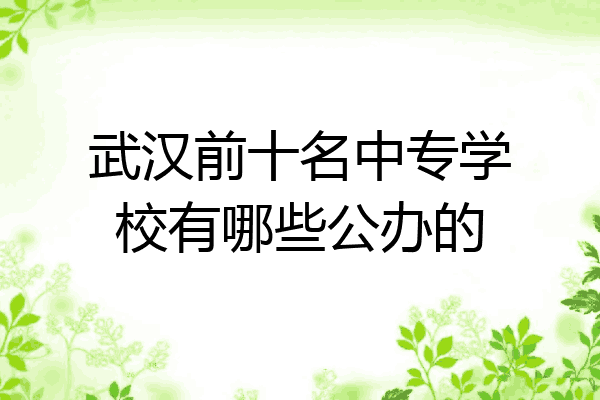 武汉前十名中专学校有哪些公办的