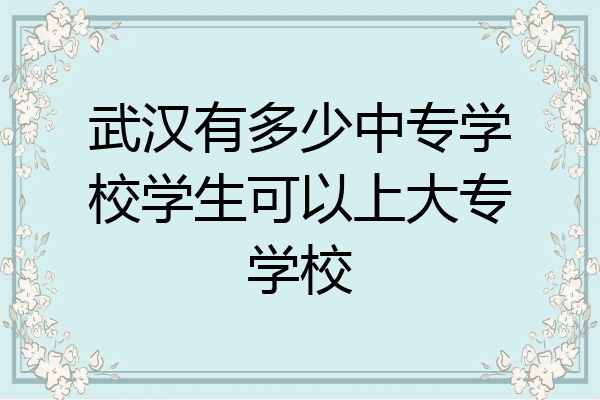 武汉有多少中专学校学生可以上大专学校