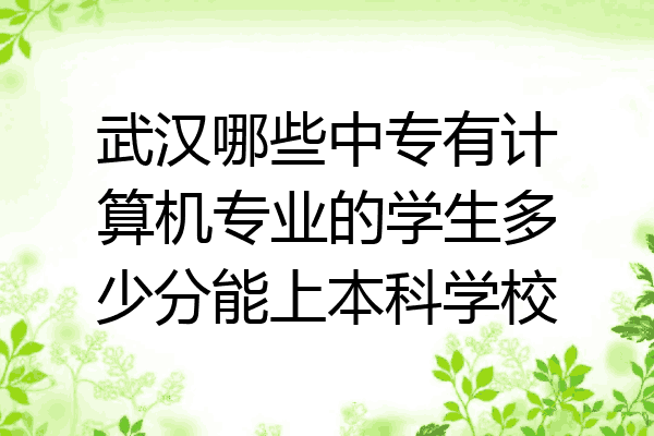 武汉哪些中专有计算机专业的学生多少分能上本科学校