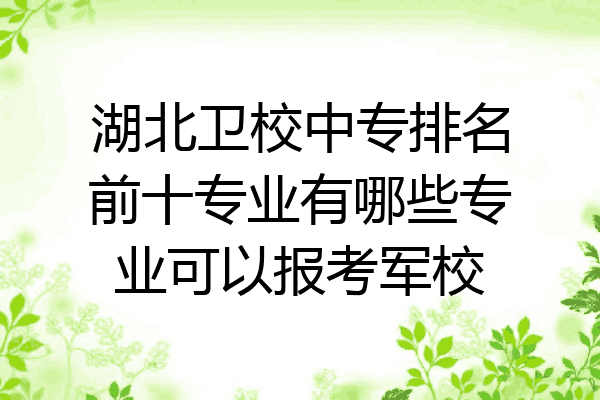 湖北卫校中专排名前十专业有哪些专业可以报考军校
