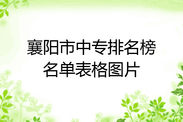 襄阳市中专排名榜名单表格图片