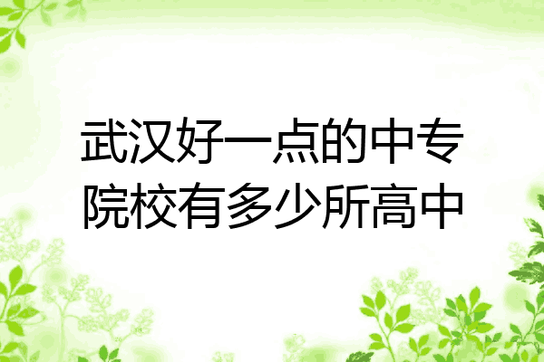 武汉好一点的中专院校有多少所高中
