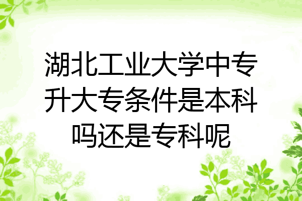 湖北工业大学中专升大专条件是本科吗还是专科呢