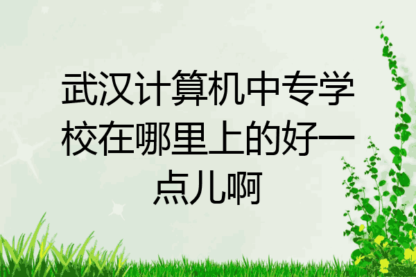 武汉计算机中专学校在哪里上的好一点儿啊