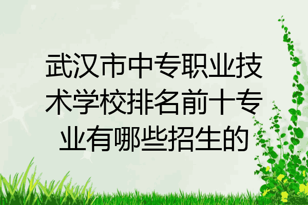 武汉市中专职业技术学校排名前十专业有哪些招生的