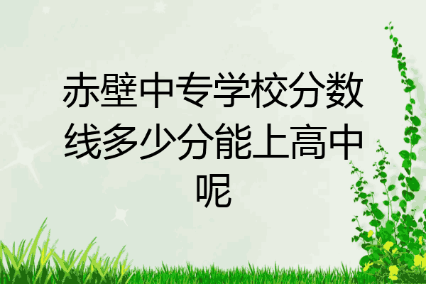 赤壁中专学校分数线多少分能上高中呢