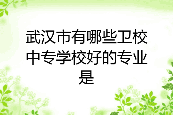 武汉市有哪些卫校中专学校好的专业是