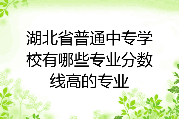 湖北省普通中专学校有哪些专业分数线高的专业