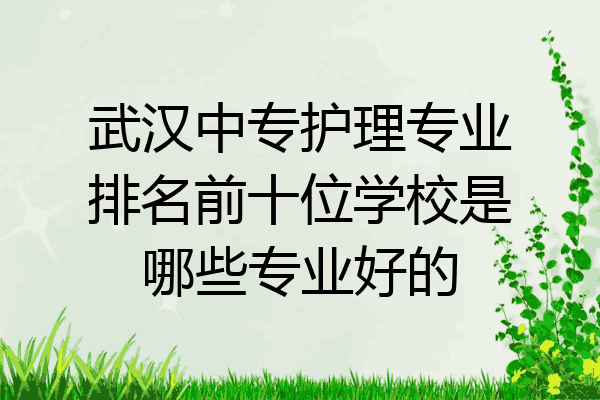 武汉中专护理专业排名前十位学校是哪些专业好的