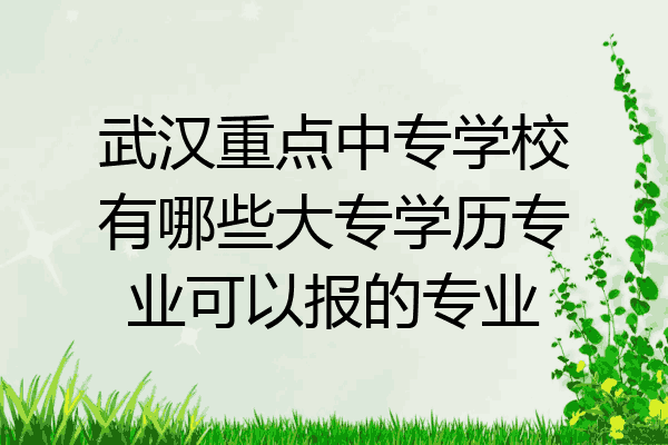 武汉重点中专学校有哪些大专学历专业可以报的专业