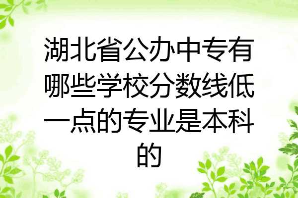 湖北省公办中专有哪些学校分数线低一点的专业是本科的