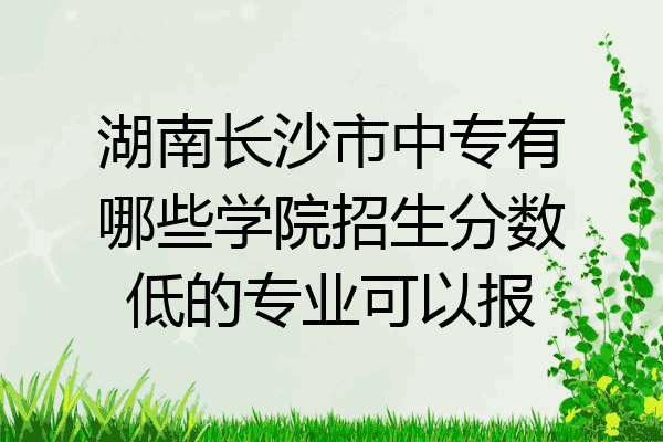 湖南长沙市中专有哪些学院招生分数低的专业可以报