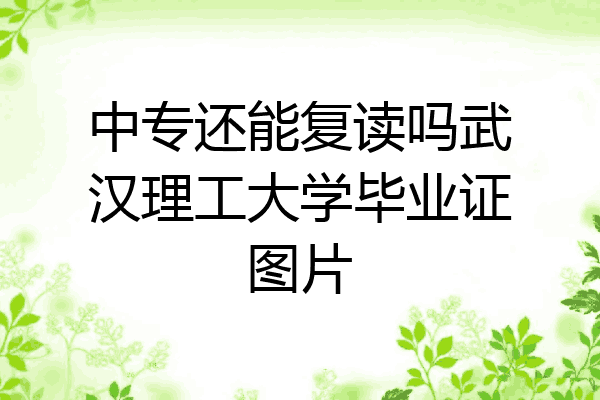 中专还能复读吗武汉理工大学毕业证图片