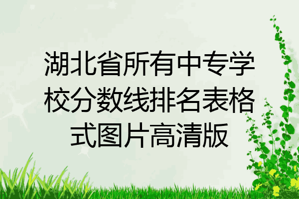 湖北省所有中专学校分数线排名表格式图片高清版