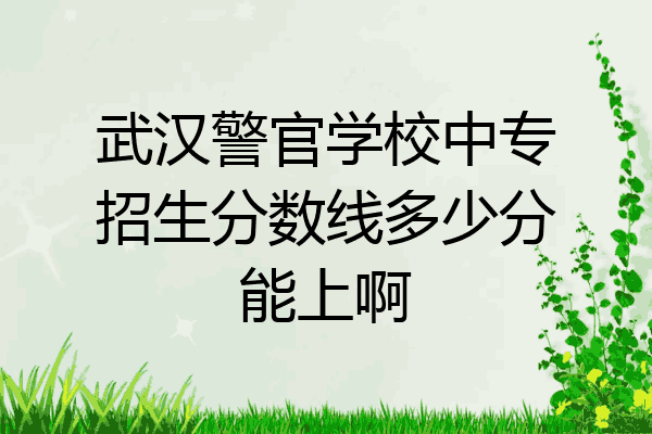 武汉警官学校中专招生分数线多少分能上啊