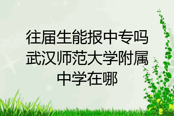 往届生能报中专吗武汉师范大学附属中学在哪