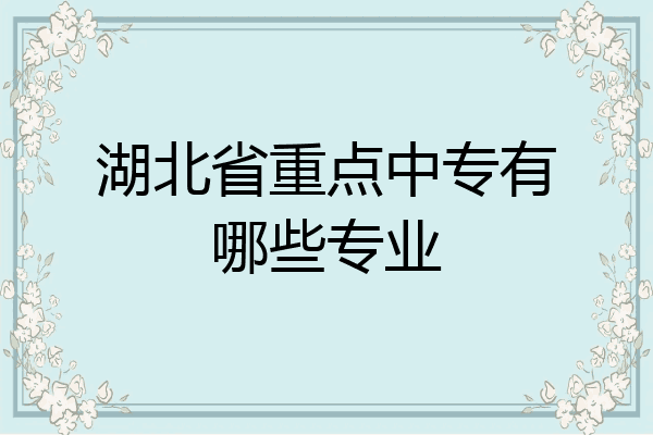 湖北省重点中专有哪些专业
