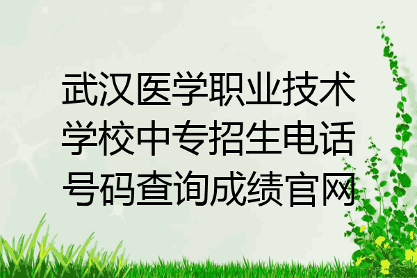 武汉医学职业技术学校中专招生电话号码查询成绩官网