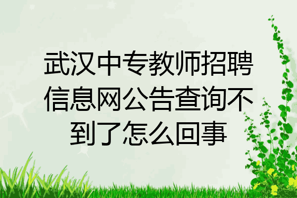 武汉中专教师招聘信息网公告查询不到了怎么回事