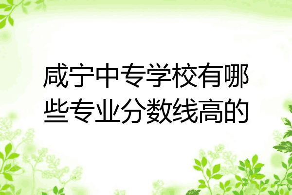 咸宁中专学校有哪些专业分数线高的