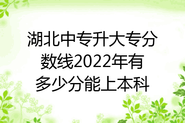 湖北中专升大专分数线2022年有多少分能上本科